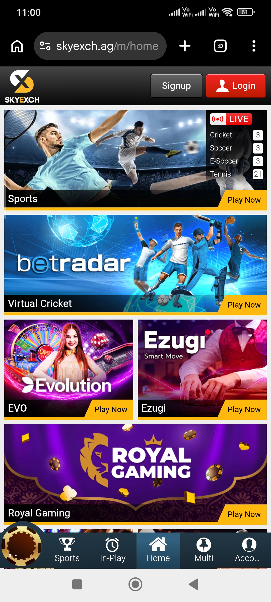 skyexchange.life screenshot